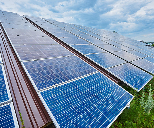 Our Commitment To Sustainability